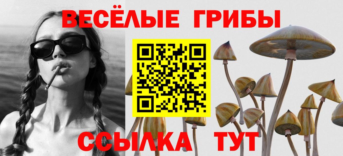 наркошоп  Галлюциногенные грибы MAGIC MUSHROOMS  Вход с VPN  Нягань 