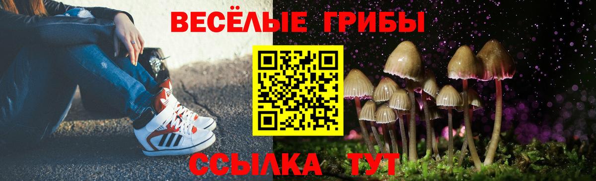 Галлюциногенные грибы Magic Shrooms Нягань